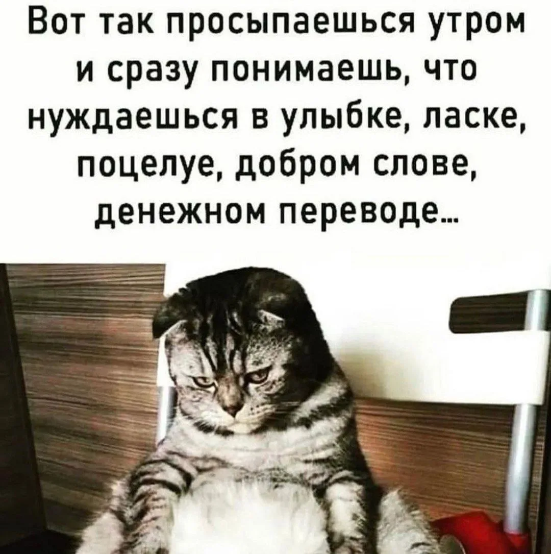 КУКУРУЗА 🌽