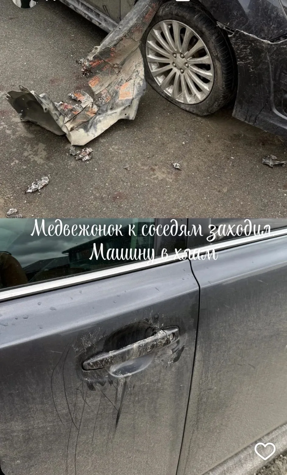 🐻 Медвежонок к соседям заходил. Машина в хлам