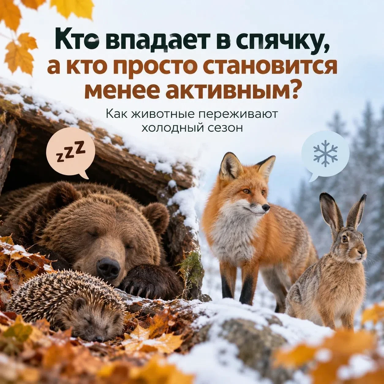 🍂 Скоро похолодает — и у животных начнётся свой сезон выживания. Но все ли отправятся ...