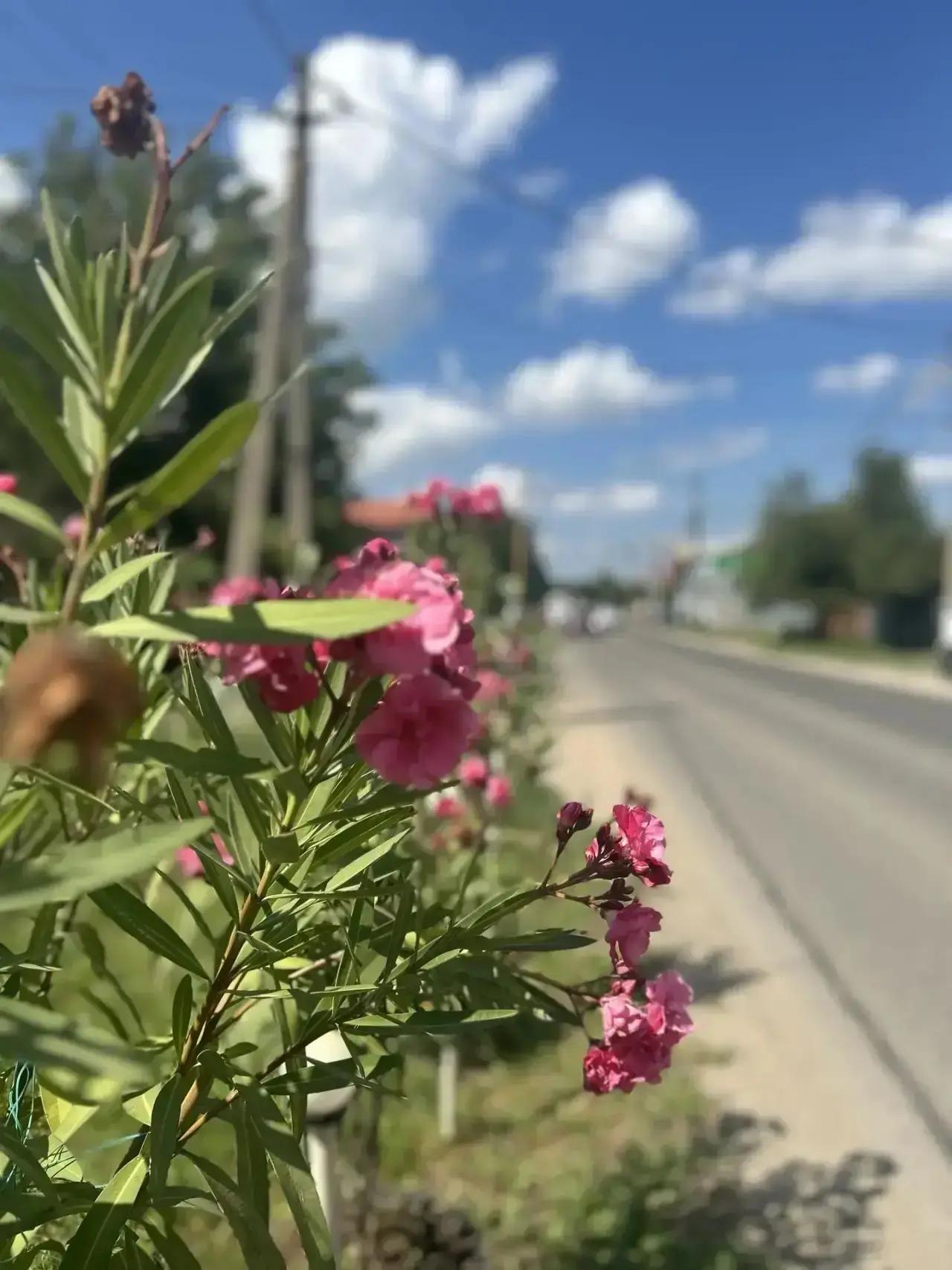 🍁Добре утро, Елизаветинский округ!