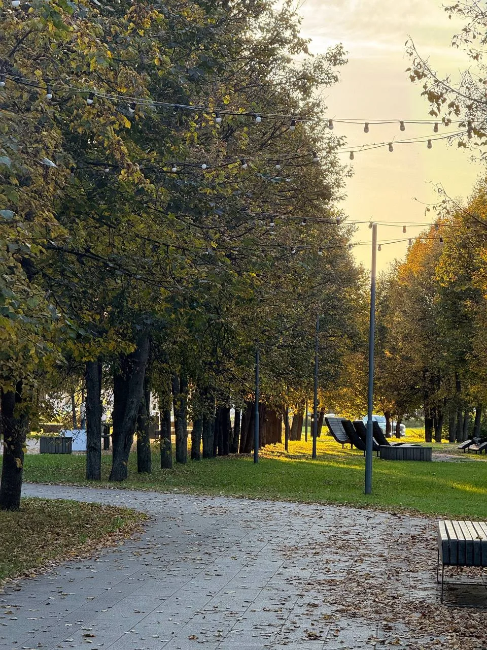 Доброе утро!