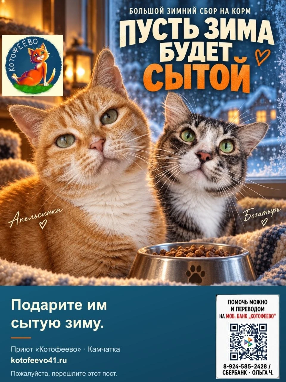❄️ ЗИМА НА ПОРОГЕ. 400 КОТОВ ЖДУТ ВАС