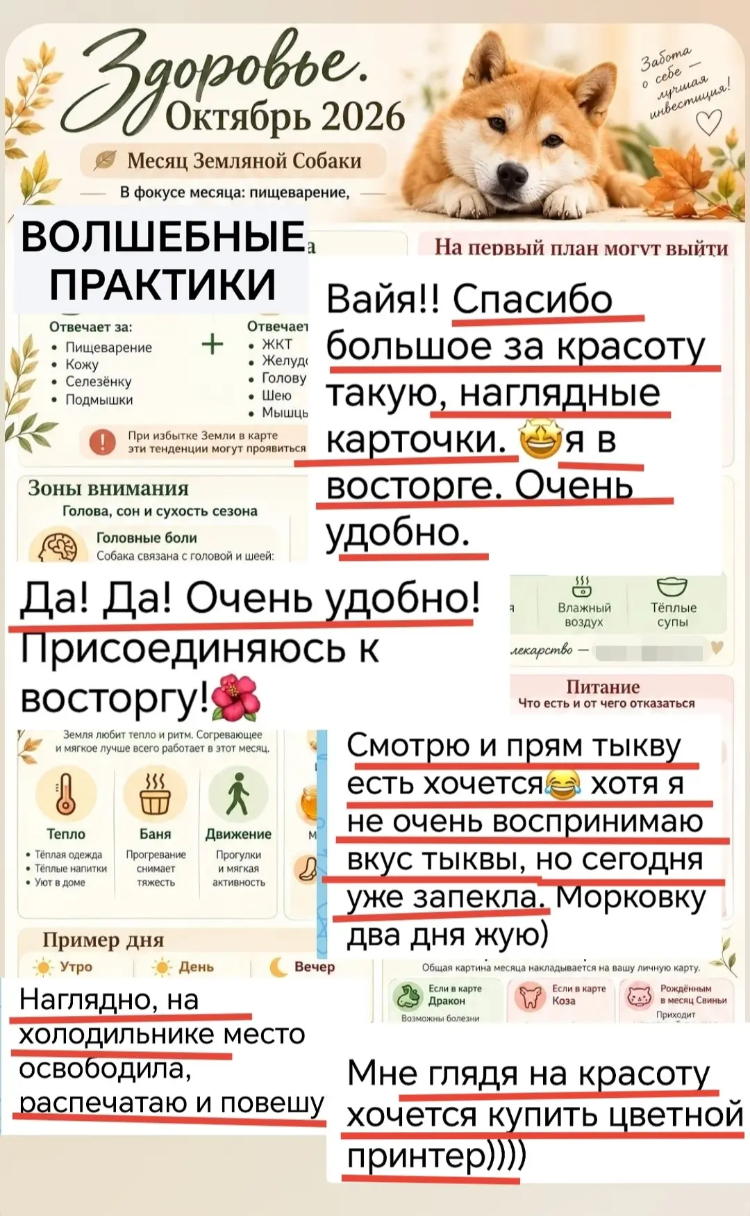 В ВОЛШЕБНЫХ ПРАКТИКАХ сделали Прогноз (не весь пока) вот таким красочным, ярким - главн...