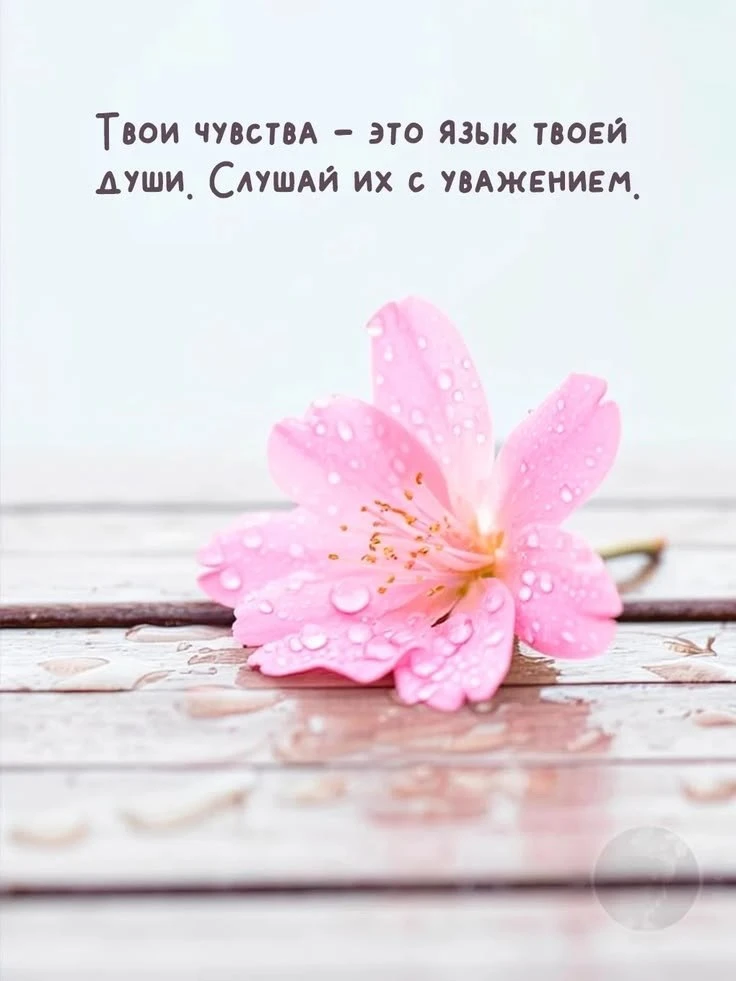 🥰 Оставляйте реакции, если понравилась открытка и делитесь с близкими ❤️