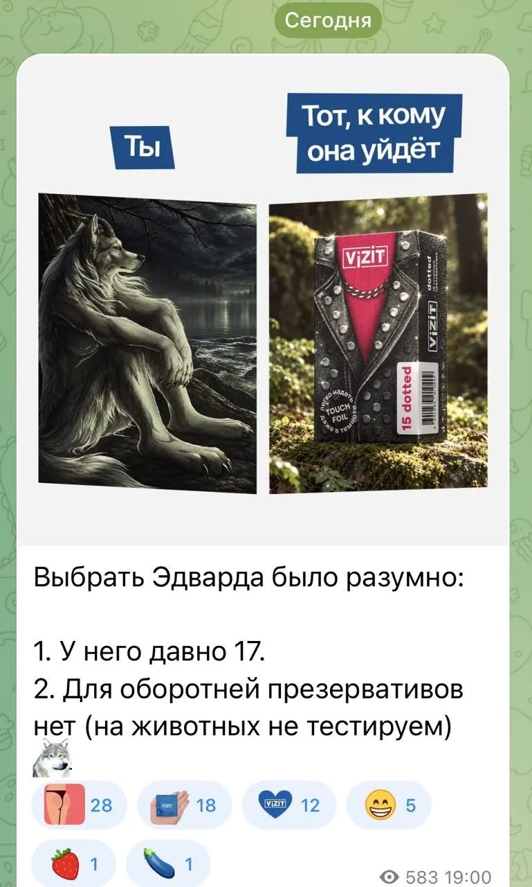Vizit объяснил выбор Беллы своими аргументами.