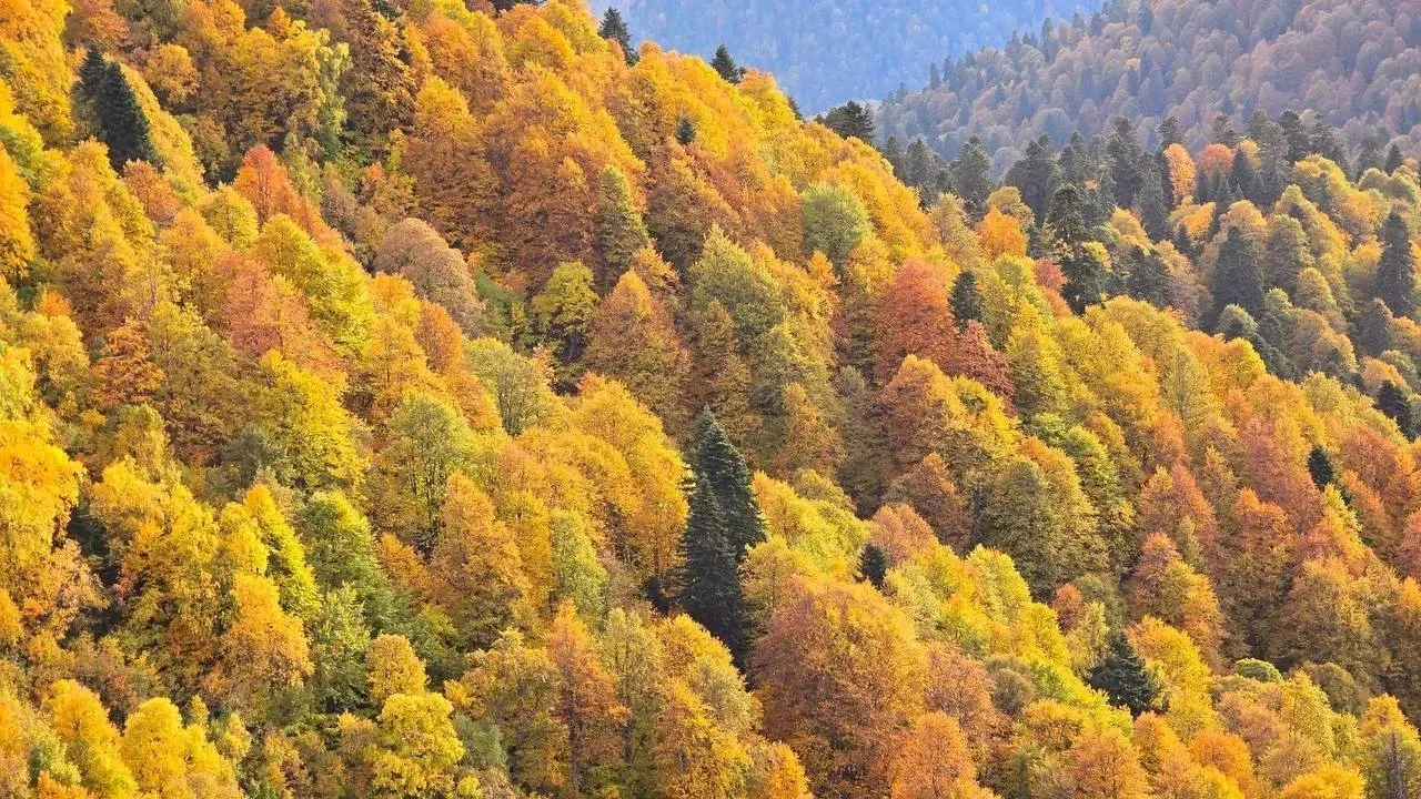 🍁Осень в горах