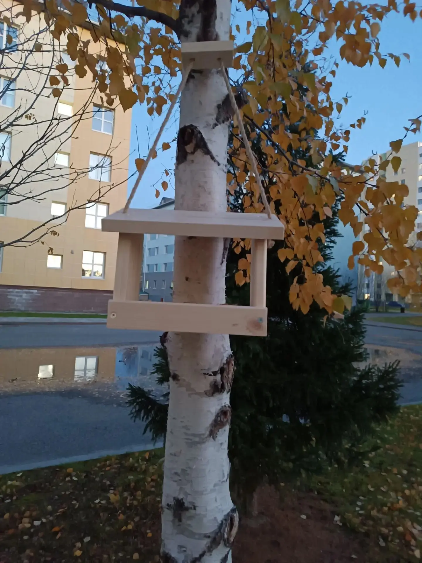 Кормушки для пернатых друзей 🐦‍⬛