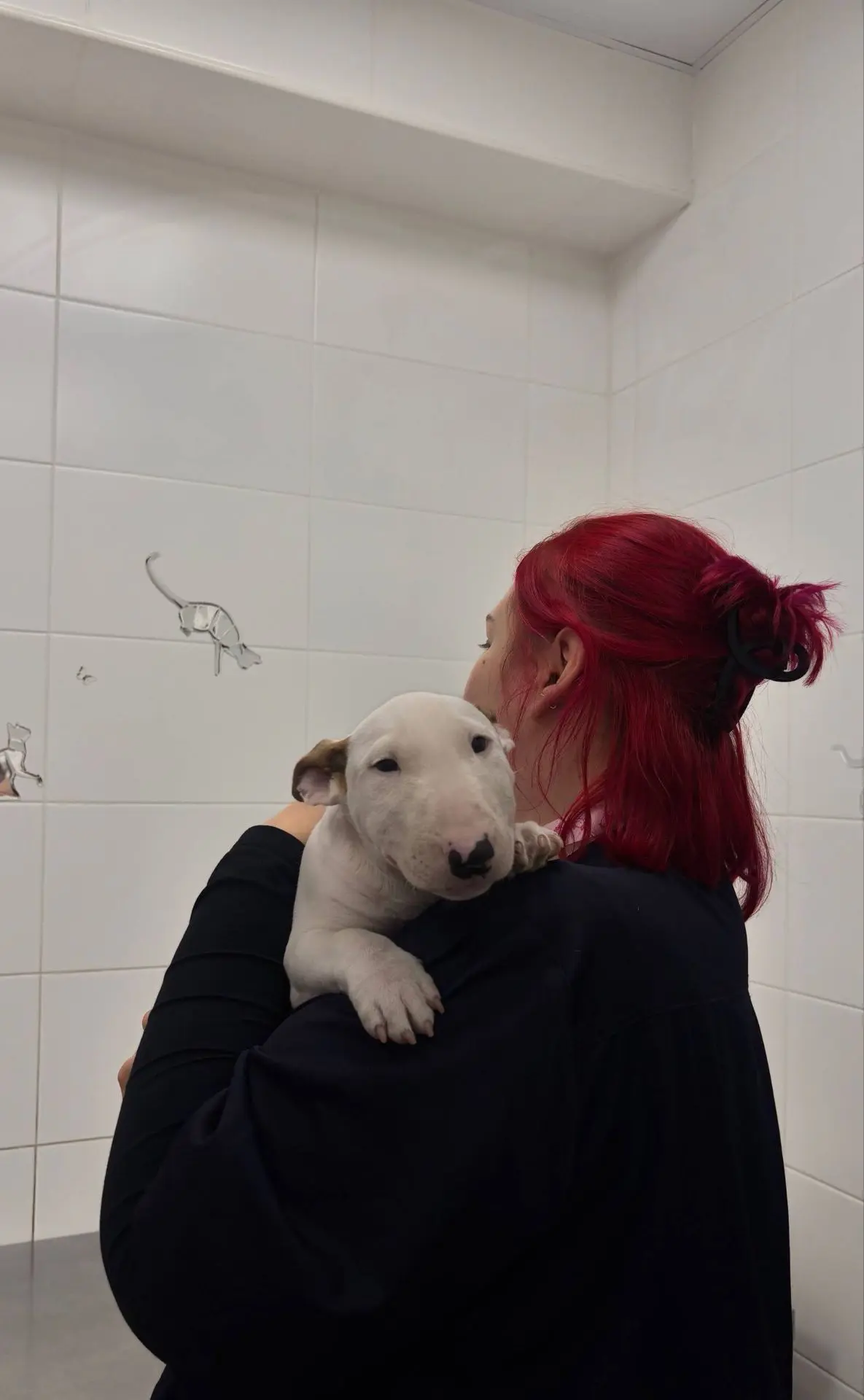 Самый приятный пациент субботнего вечера 🐾