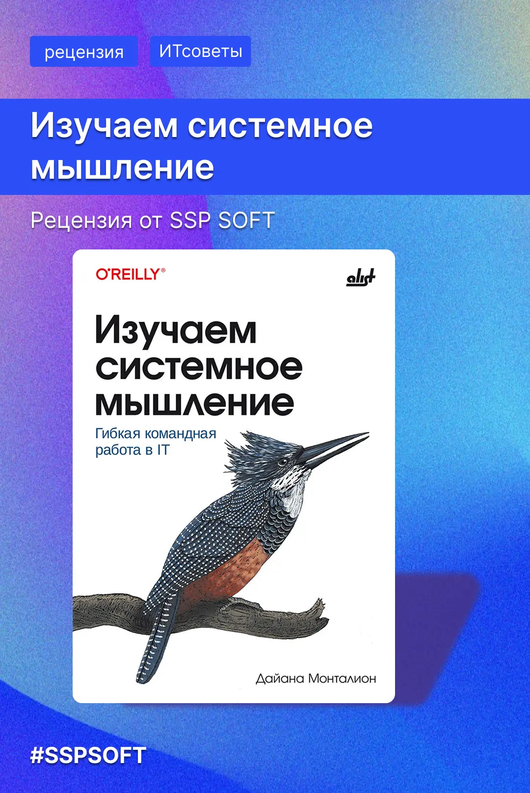 Системное мышление для ИТ-специалистов и менеджеров: новая рецензия в блоге SSP SOFT на...