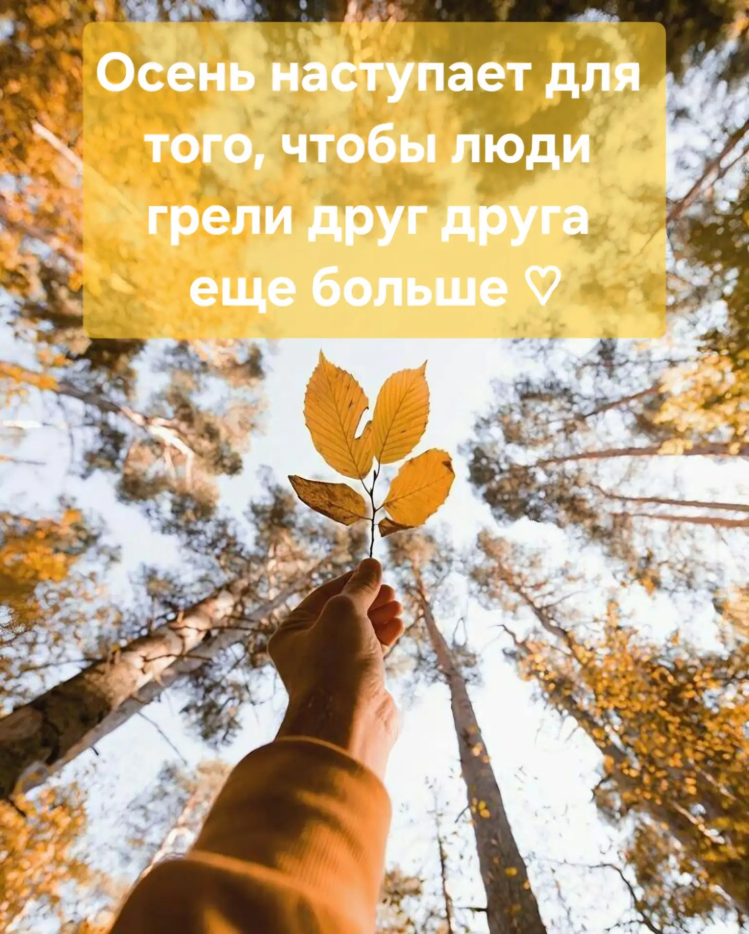 💫