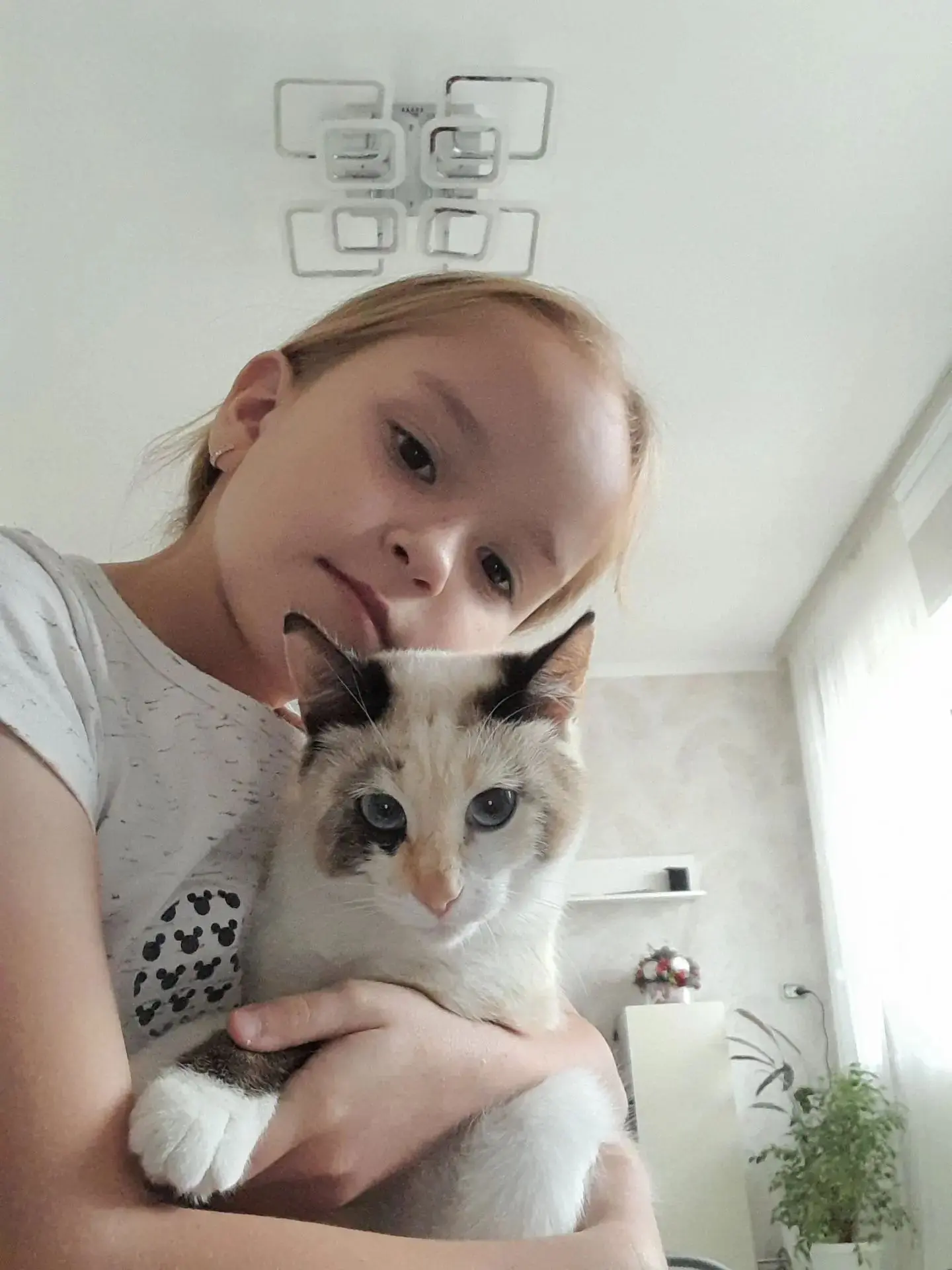 Мою кошку зовут Бусинка . У неё голубые глаза. Она очень шустрая и игривая кошечка .