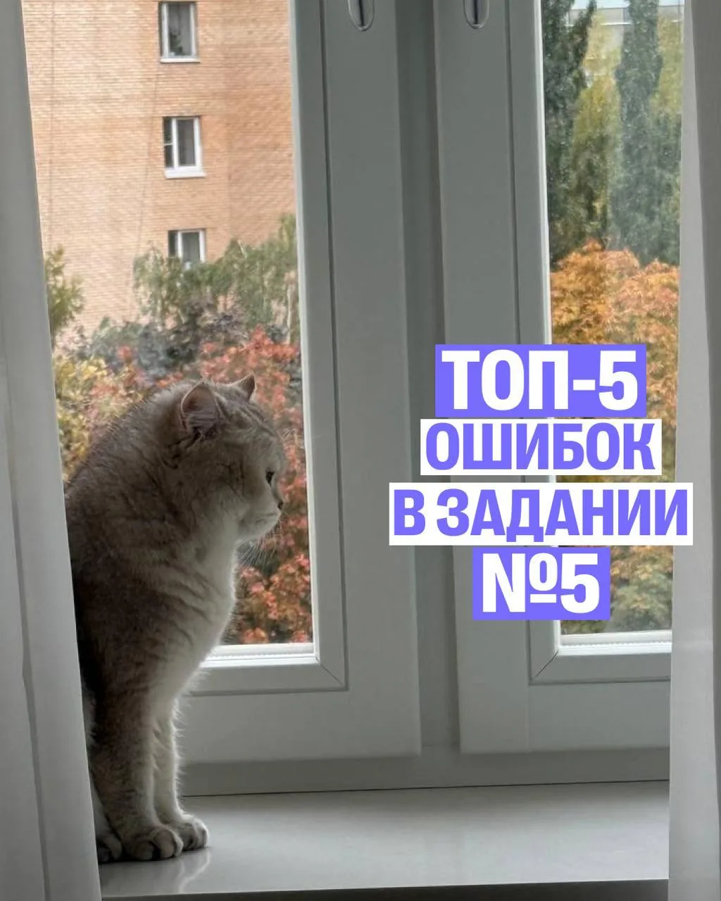 ТОП-5 ОШИБОК В 5 ЗАДАНИИ ЕГЭ ПО ХИМИИ ❌