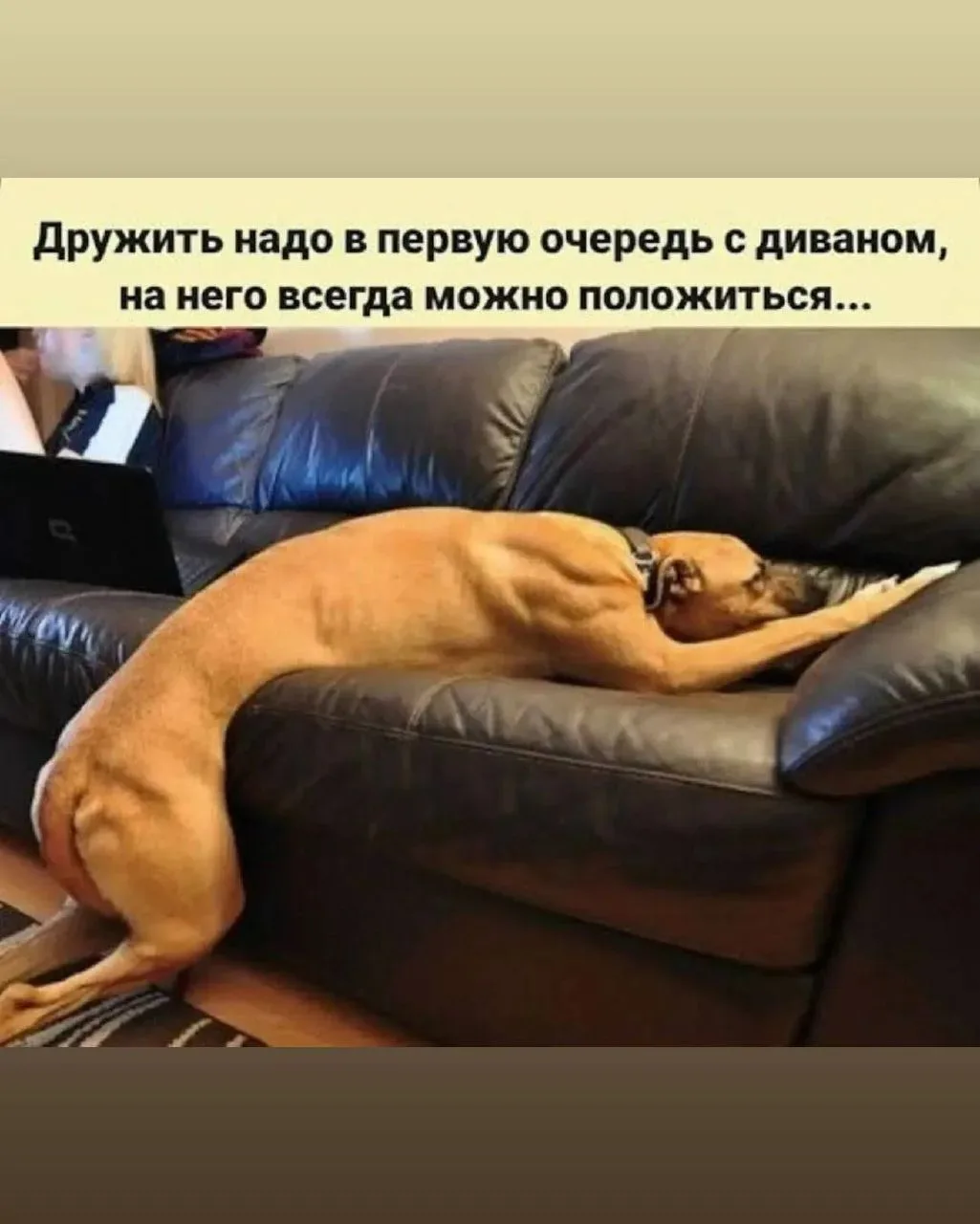 😁Православные тоже шутят - Позитивный канал, с доброй и душевной атмосферой.