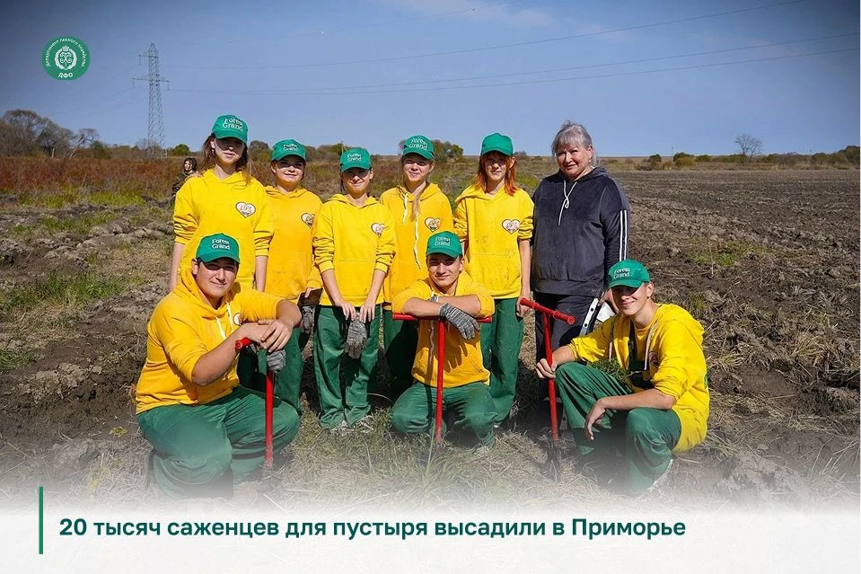 🌳 В Приморье высадили порядка 20 тысяч молодых деревьев в рамках главной акции «Сохран...