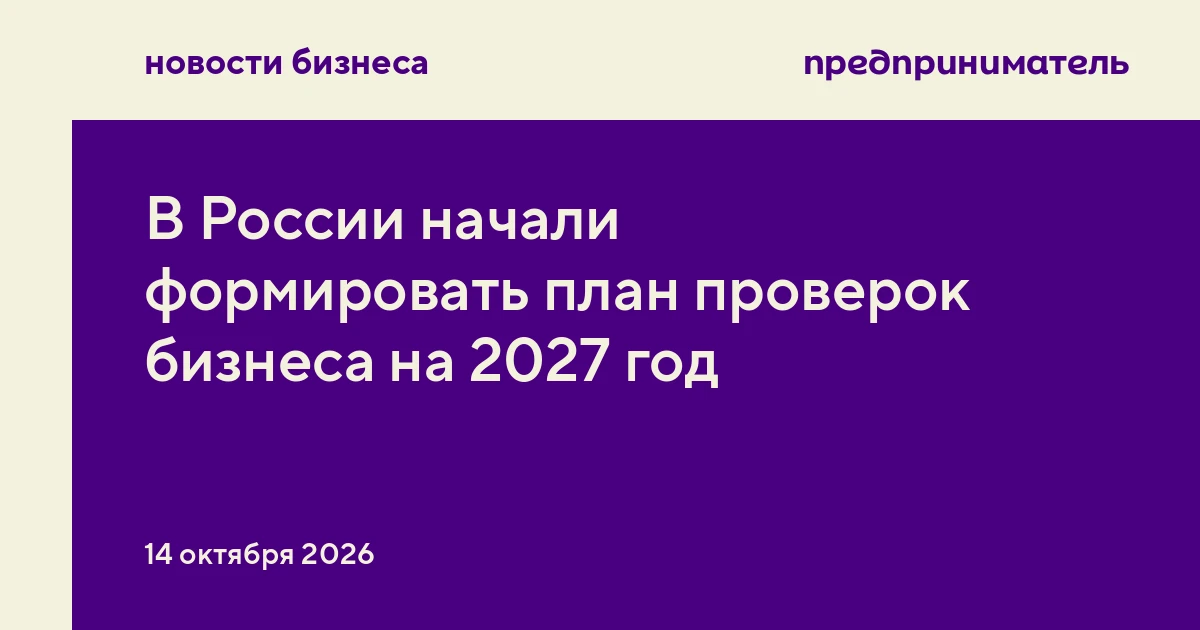 В России начали формировать план проверок бизнеса на 2027 год