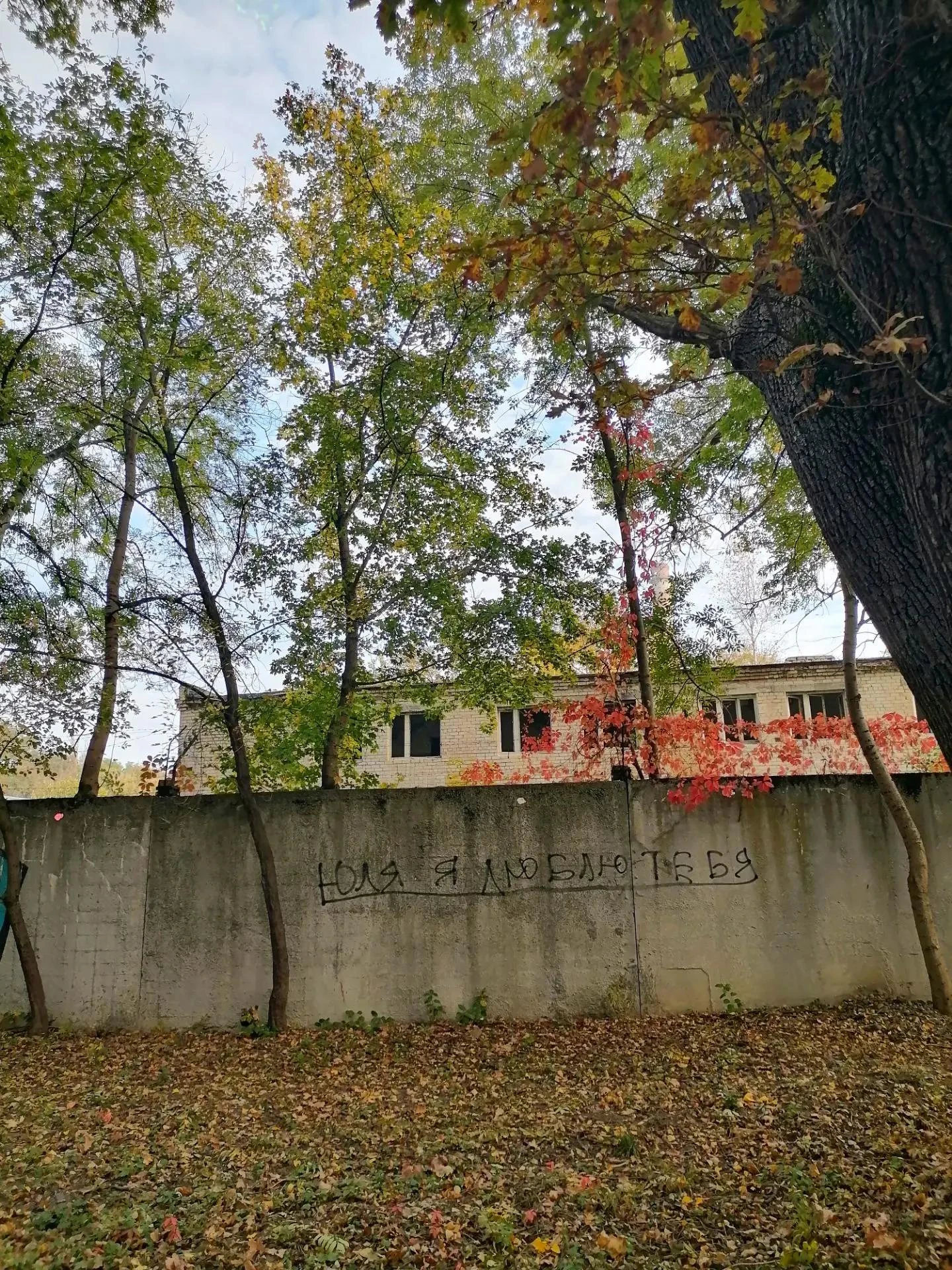 Внимание....