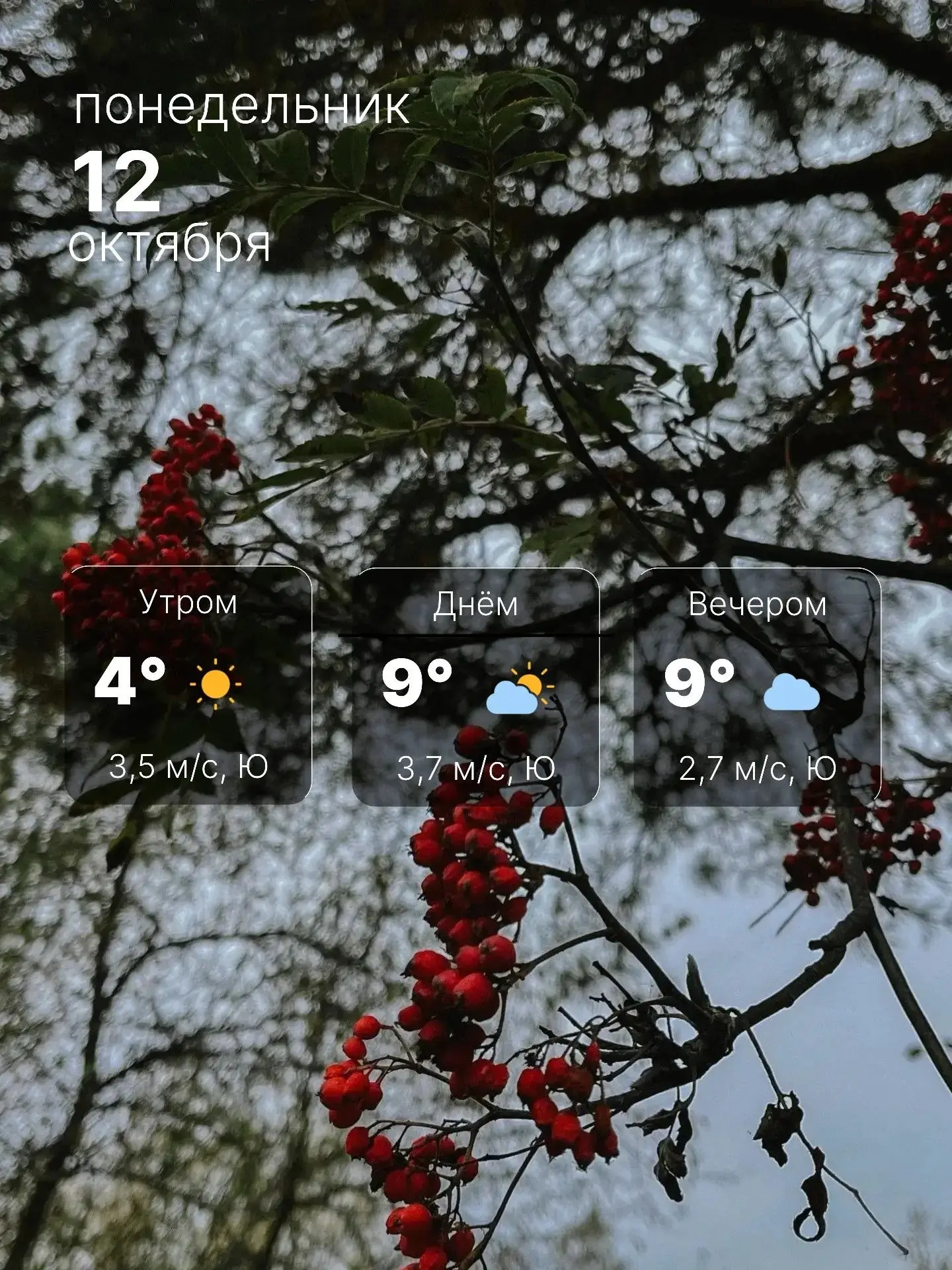 🌤 Понедельник встретит нас солнцем
