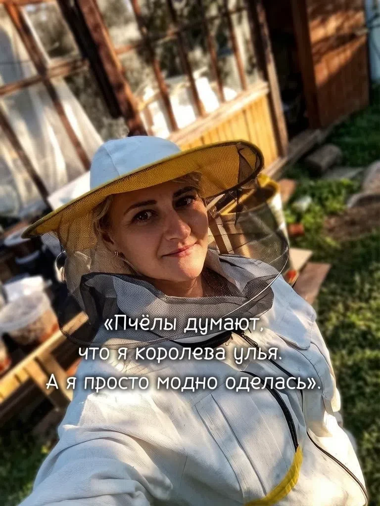 🐝 Пчёлы: не только мёд, но и жёлтый юмор!
