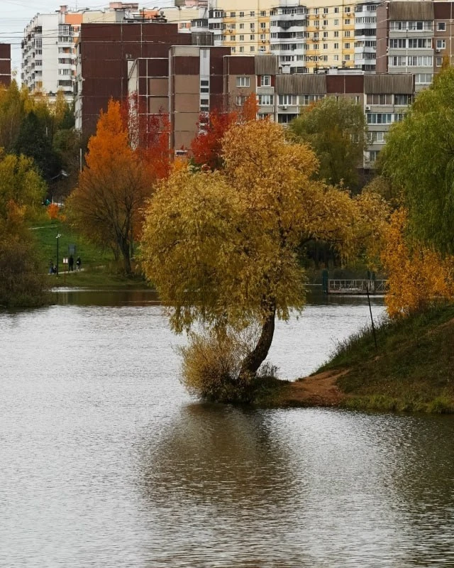 🌧 ПРО погоду. Москва, 13 октября