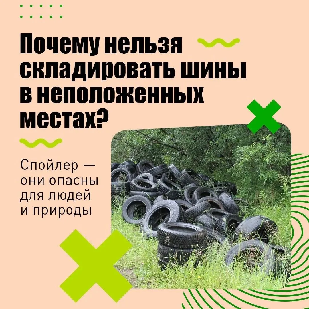 🛞 Шинам не место в лесополосе