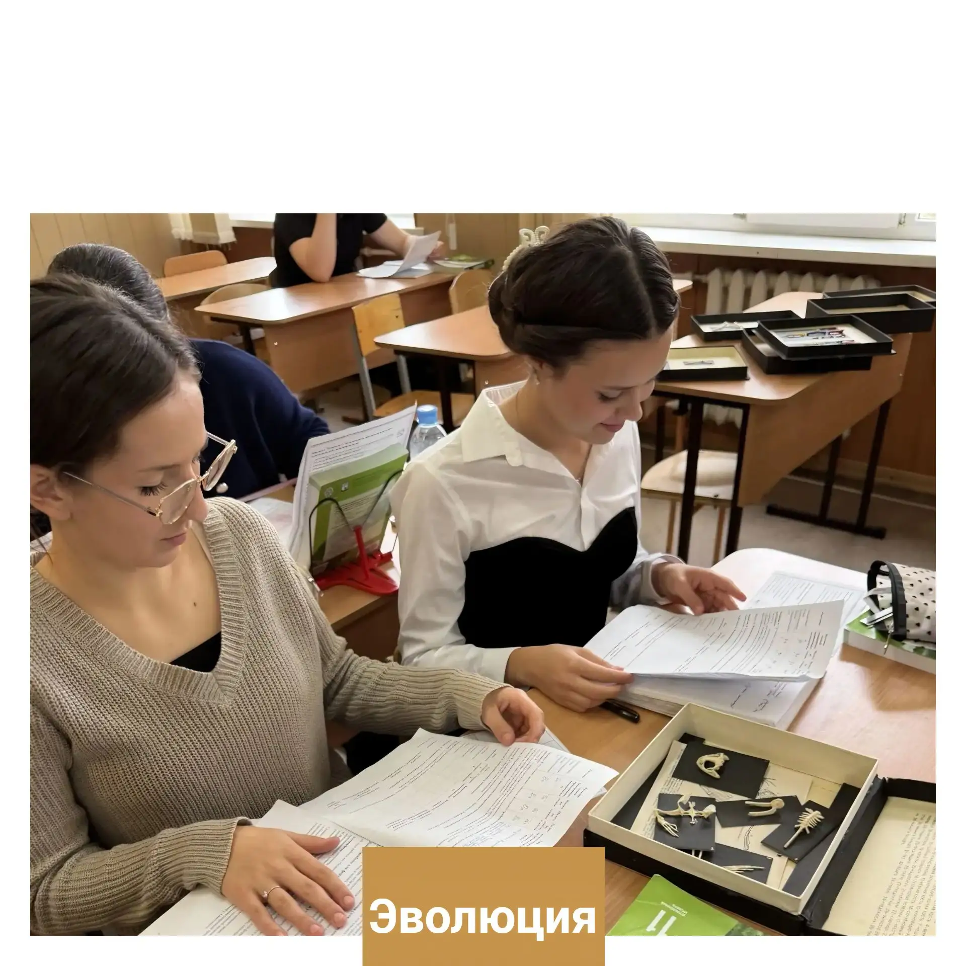 Знаете, чем пахнет эволюция? Мхом, хвоей и немного — озоном от экрана компьютера 🌿