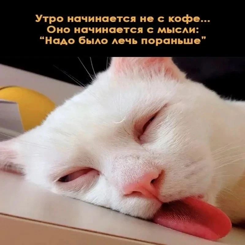 Понравился контент? Подпишись на наш второй канал MAXимально вкусно!