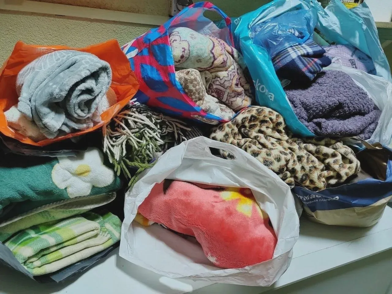 🧺 Пледы для животных готовят к передаче