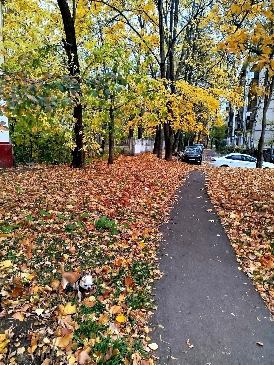 На этих фото есть Сеня😁