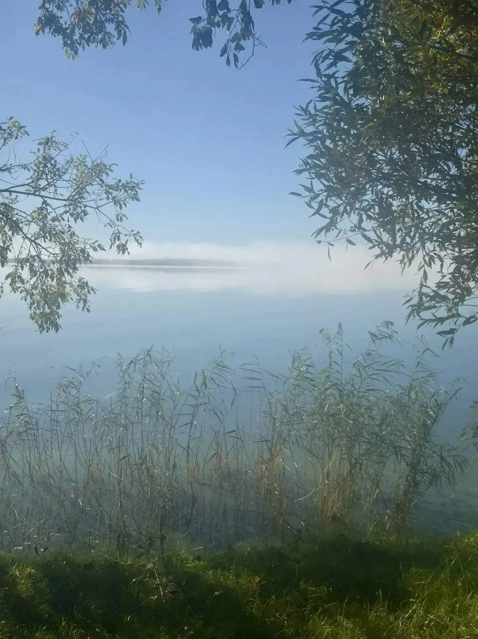 Экокомплекс СДЛ. Осеннее настроение.