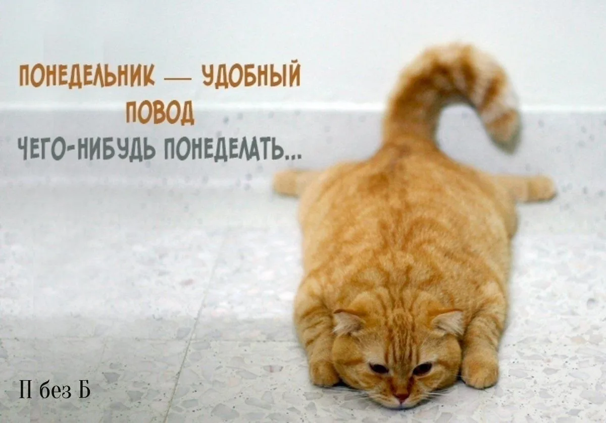 #доебутро