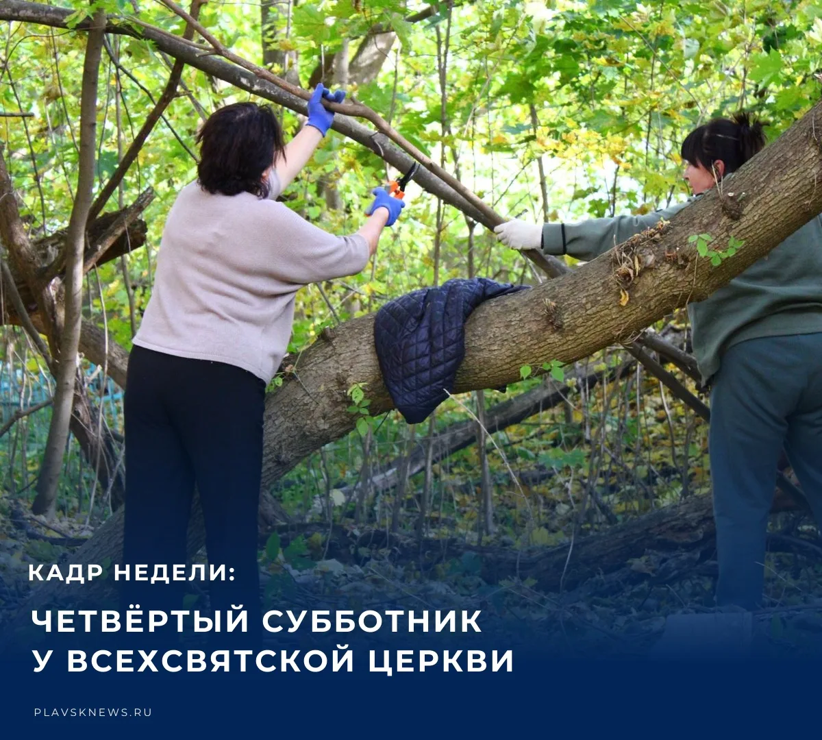 😀 Редакция «Плавской нови» выбрала лучший кадр недели. По мнению сотрудников, им стал ...