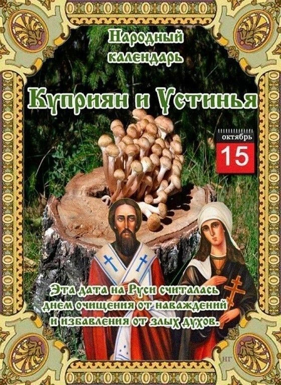 Спасибо за реакции 👍❤️🔥