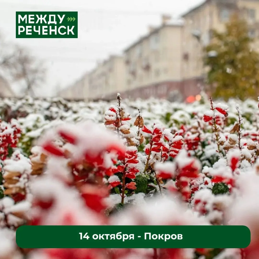 14 октября — православные христиане отмечают Покров Пресвятой Владычицы нашей Богородиц...