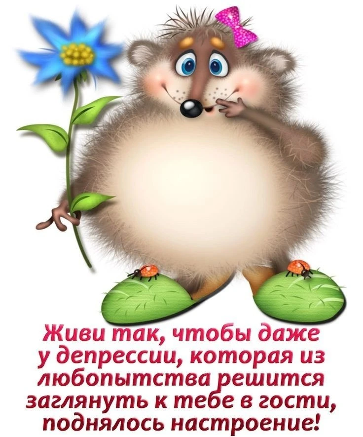 @pozdraf