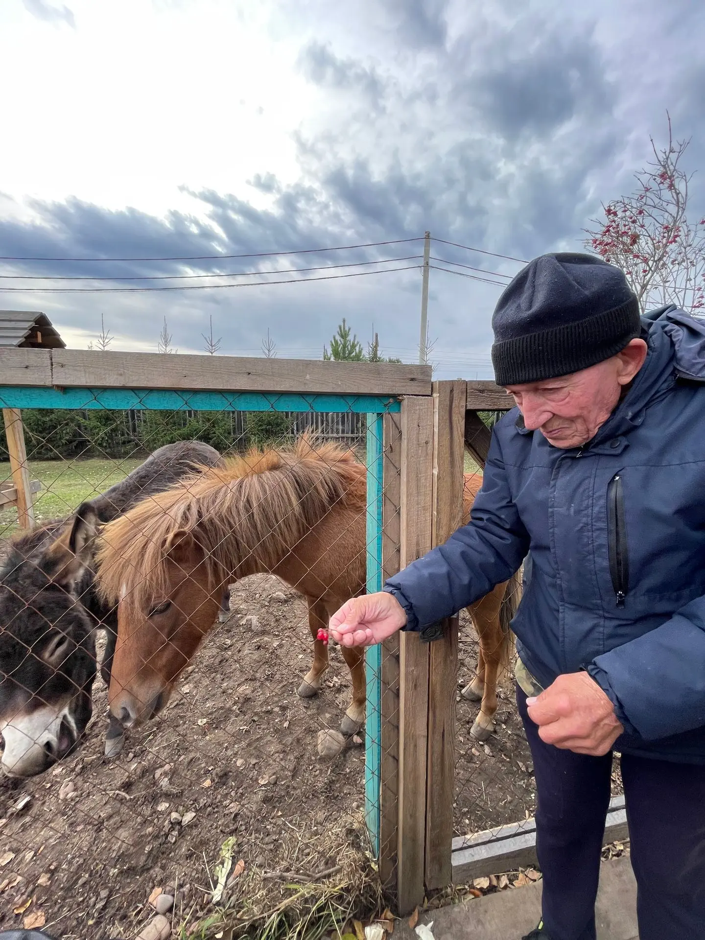 В Пуляевском доме социального обслуживания продолжается реализация проекта по эко-реаби...