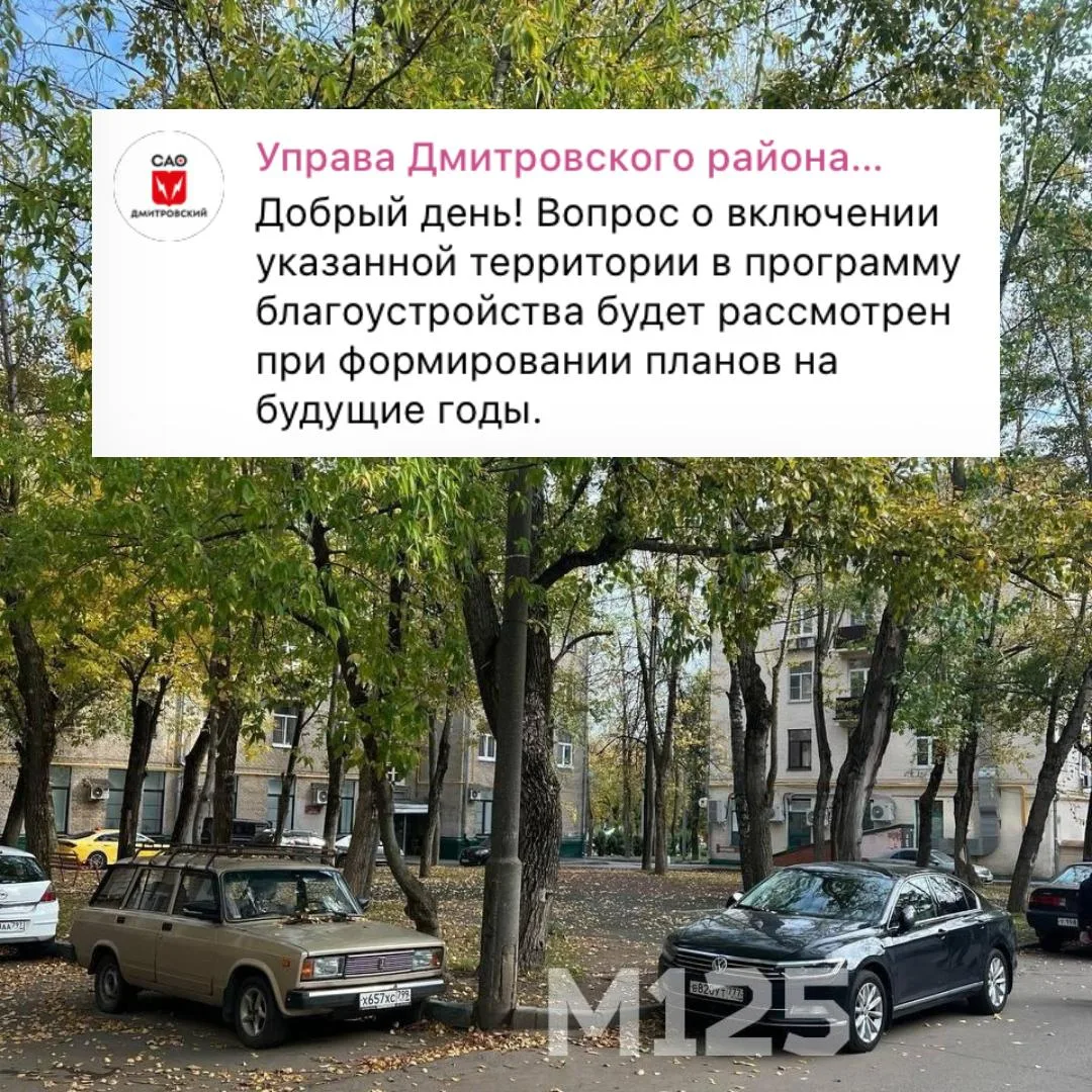 🌳 Территория бывшей детской площадки во дворе домов 113к1 и 115к1 по Дмитровскому шосс...