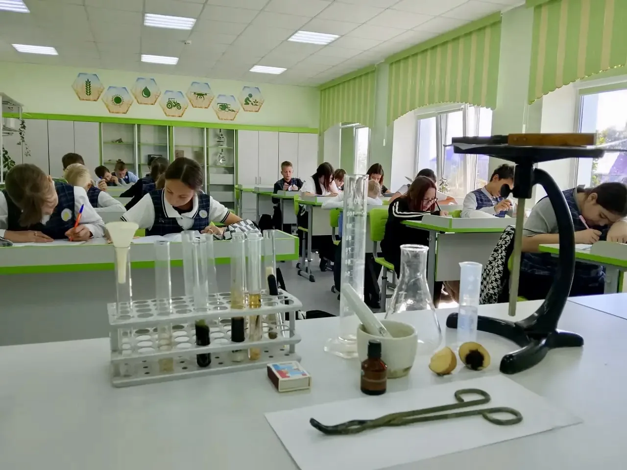 🔬 ТАЙНА ХИМИЧЕСКОГО СОСТАВА РАСТИТЕЛЬНОГО ОРГАНИЗМА РАСКРЫТА! 🔬