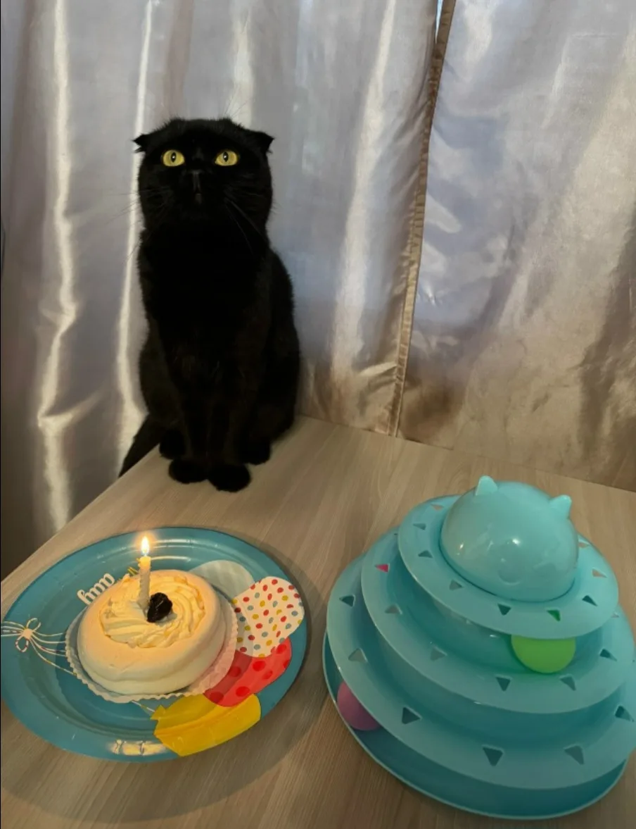 Привет от Манюни!😻