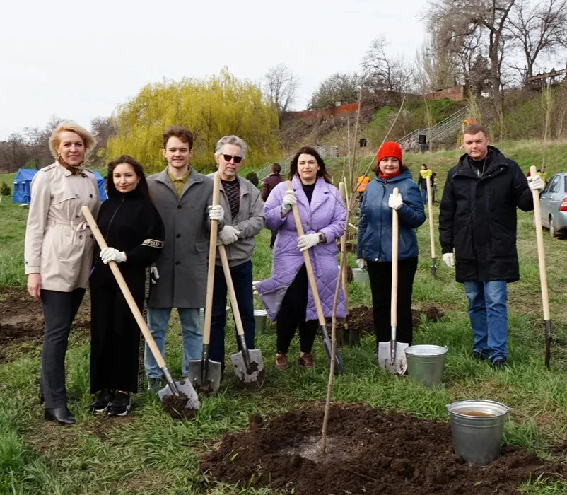 🌳 Северная площадь снова в центре посадок. Почему именно она?