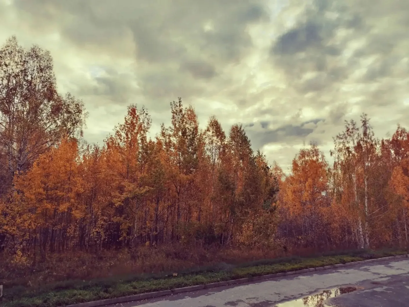 🍂Осень бывает разной 🍂