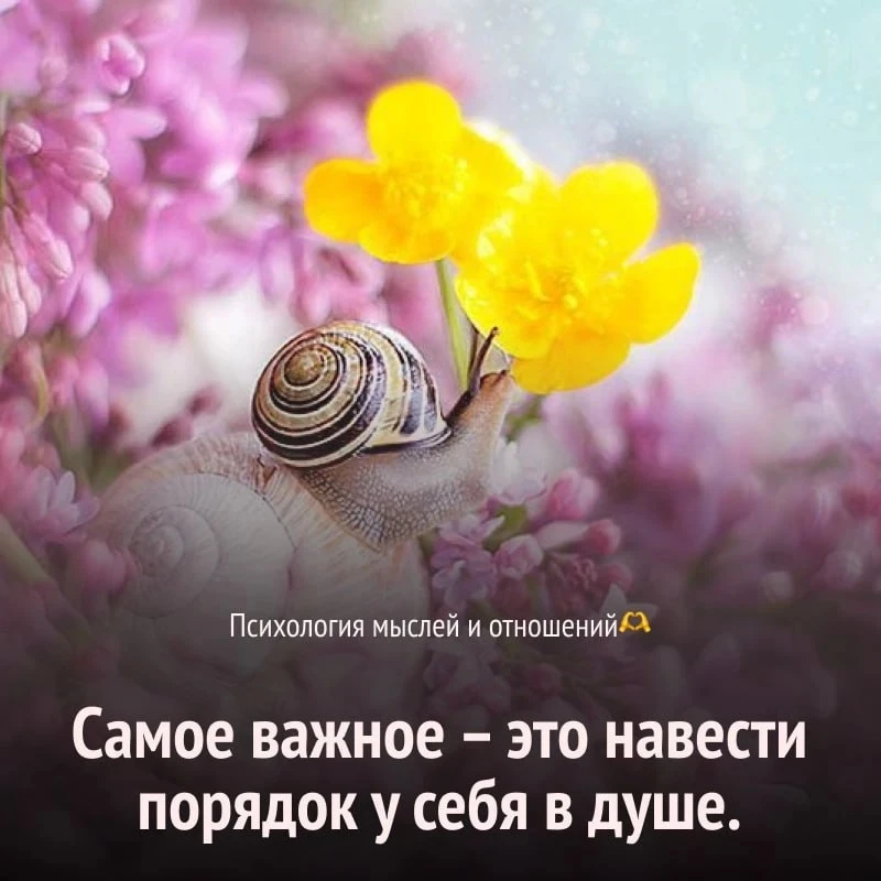 Понравился контент? Подпишись на наш второй канал MAXимально вкусно!