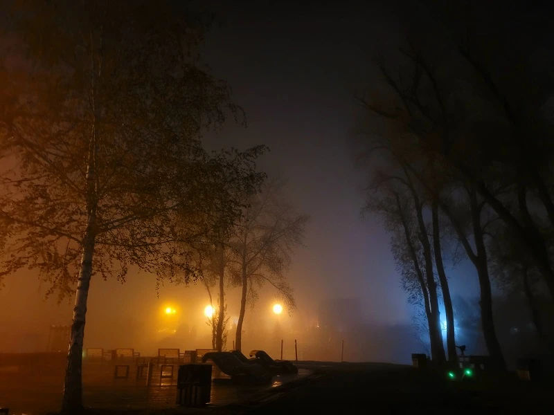 🌫️ Ночью и утром 12 октября местами по Самарской области прогнозируют туман при видимо...