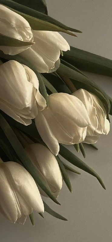 Ставь ❤️ если нравится