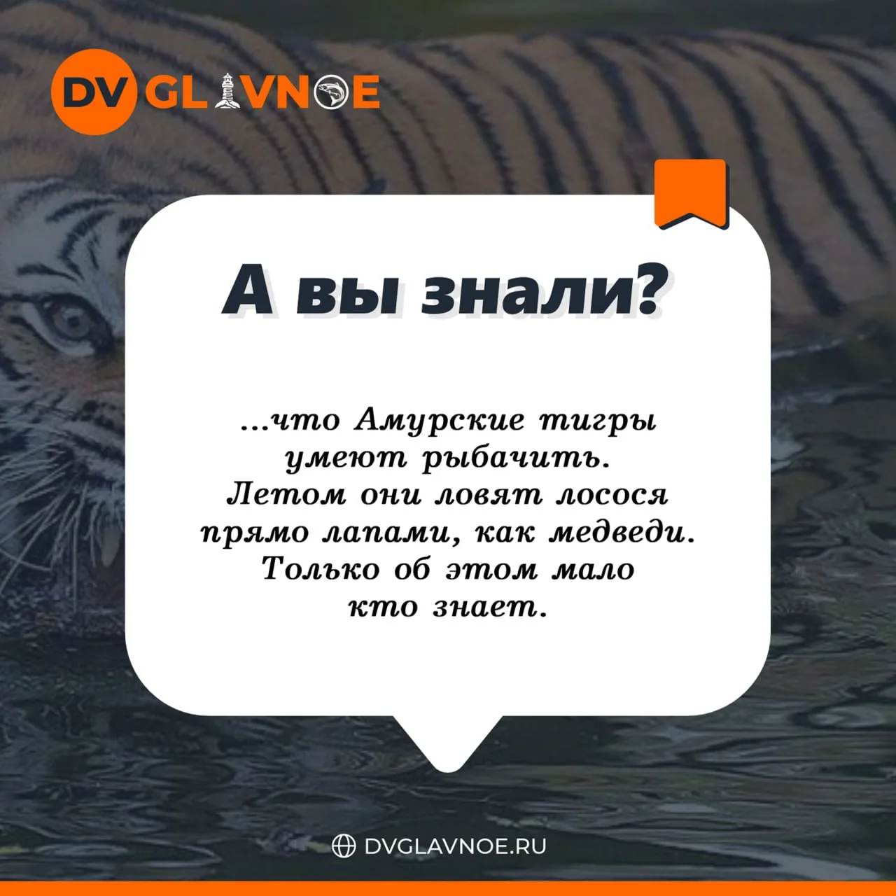 А Вы знали? 🤓