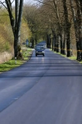 ВОЗЛЕ ТРАССЫ БЕРЁЗОВКА — ХРАБРОВО — ЖЕМЧУЖНОЕ СПИЛЯТ 83 ДЕРЕВА 🌳