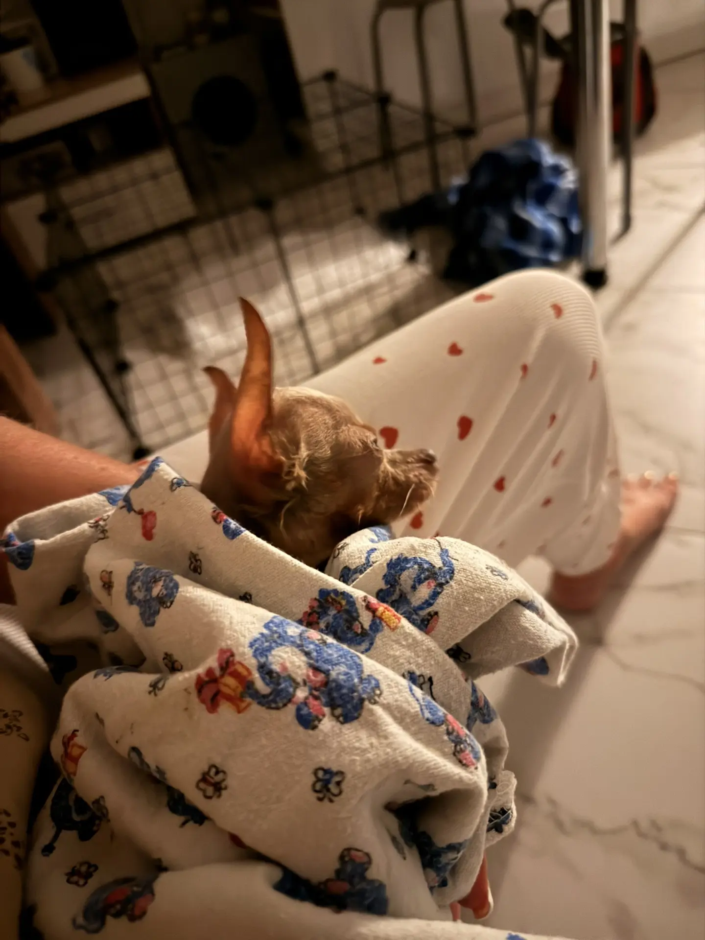 Фото сделано вчера … со мной ей теплышко и спокойно.
