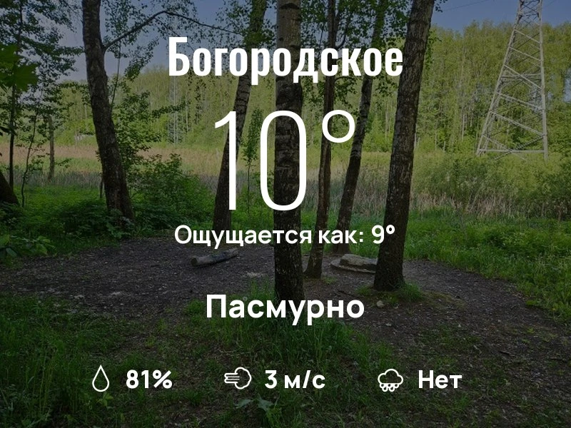 Что с погодой в Богородском?