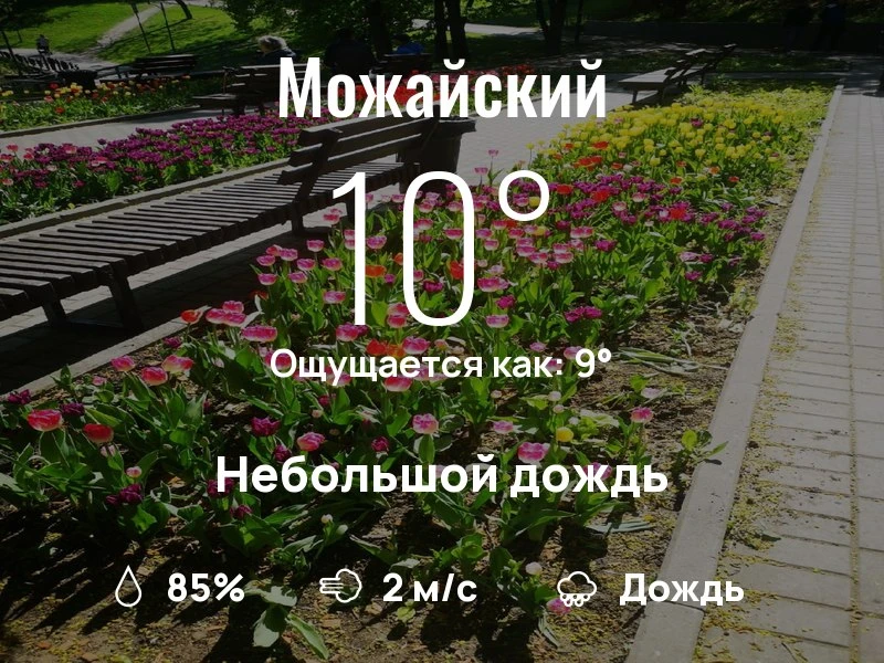 Что с погодой в Можайском?