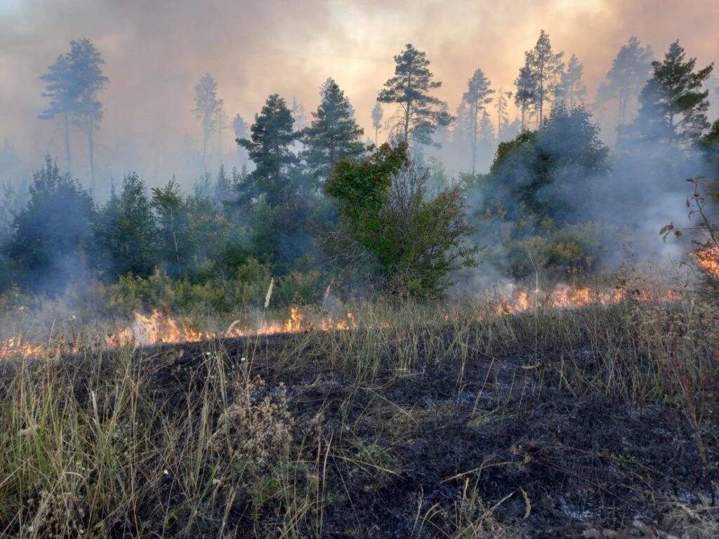 ⚠️ Внимание: Левобережье Саратовской области — пятый класс пожарной опасности