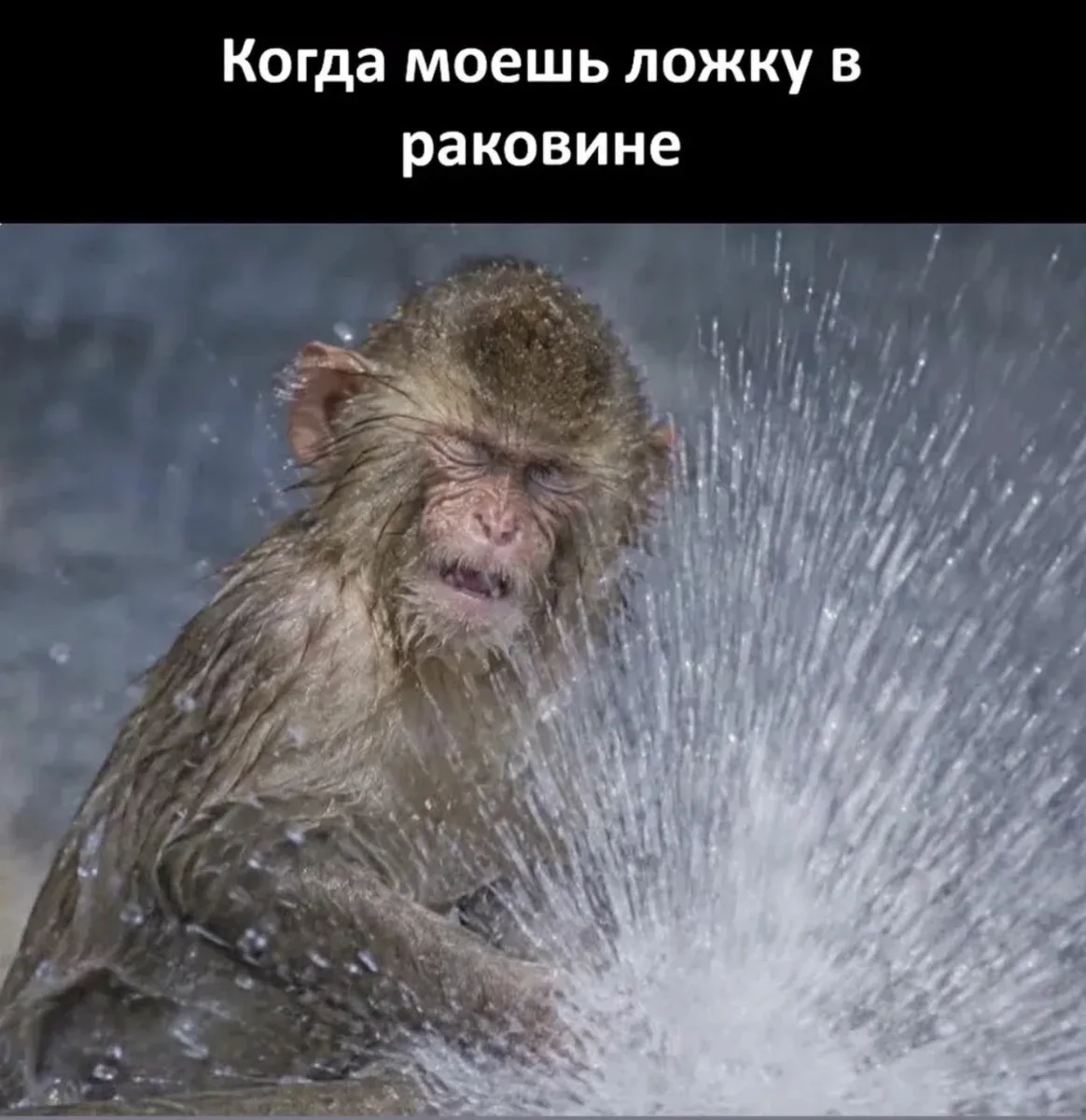 😁Умора | Юмор в картинках😁